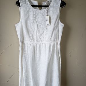 Womens Dress
